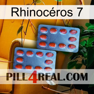 Rhinocéros 7 05